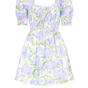 Hill House Naia hydrangea- Medium